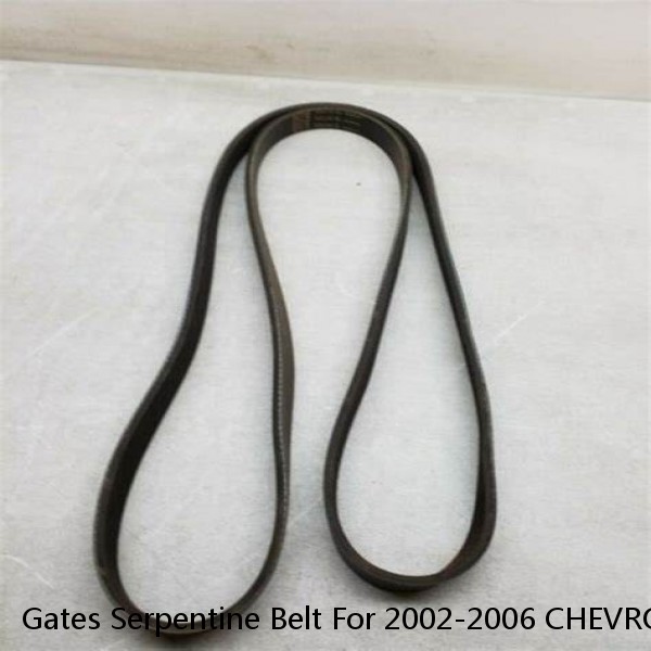 Gates Serpentine Belt For 2002-2006 CHEVROLET TRAILBLAZER EXT L6-4.2L