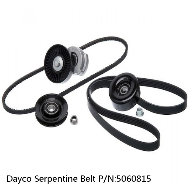 Dayco Serpentine Belt P/N:5060815