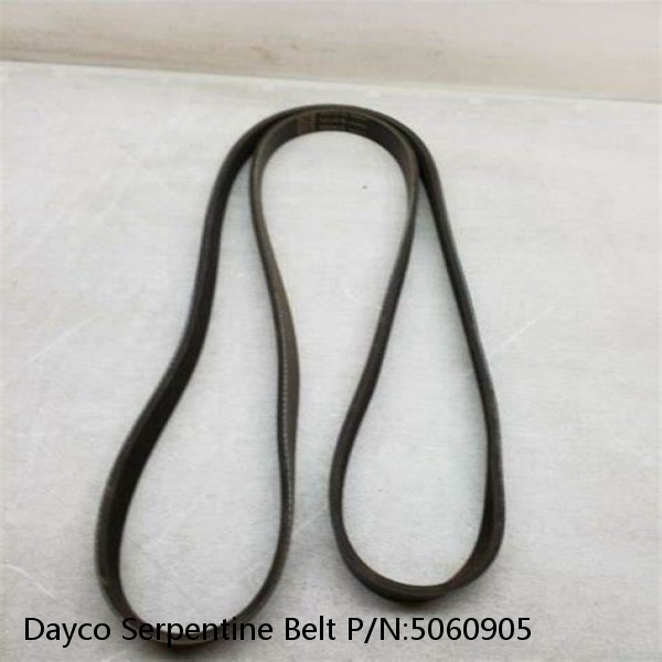 Dayco Serpentine Belt P/N:5060905 #1 small image