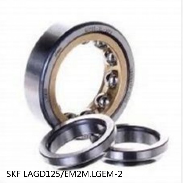 LAGD125/EM2M.LGEM-2 SKF Bearing Grease