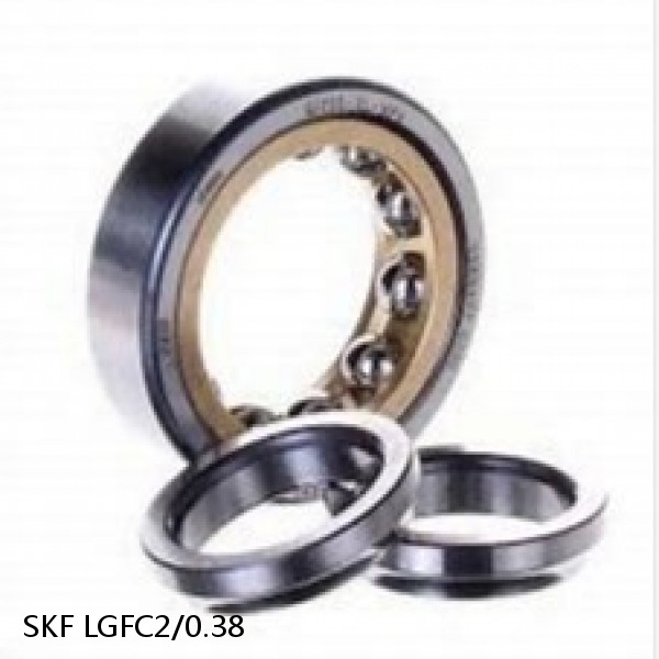 LGFC2/0.38 SKF Bearing Grease #1 small image