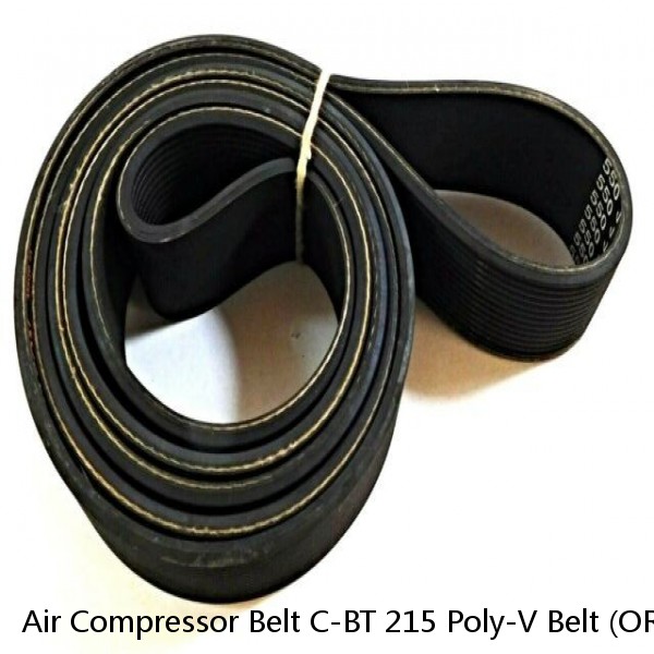 Air Compressor Belt C-BT 215 Poly-V Belt (ORB1001) #1 image