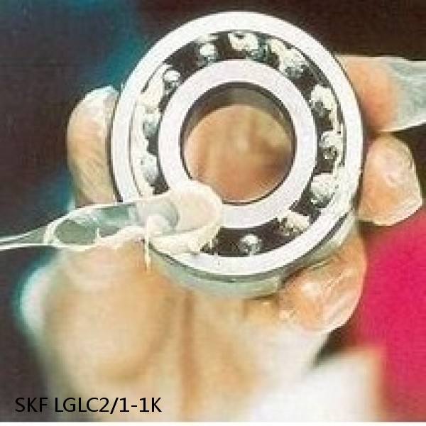 LGLC2/1-1K SKF Bearing Grease #1 image